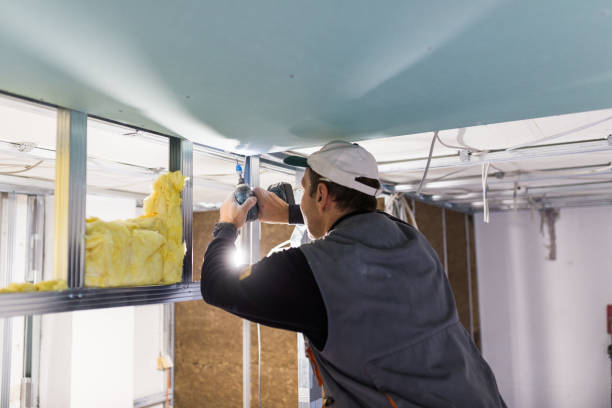 Best Insulation for Specific Applications in Lakefield, MN